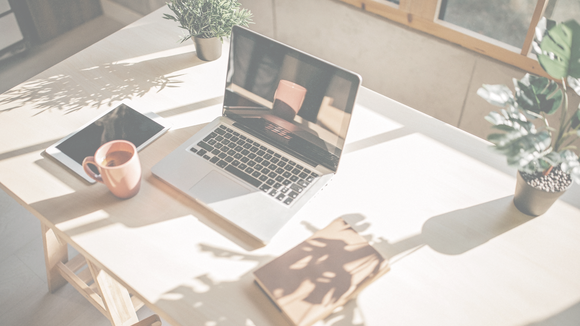 office
